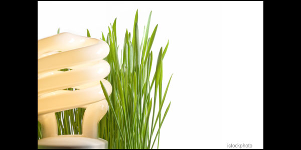 10 Tips to Make Your Home Energy Efficient