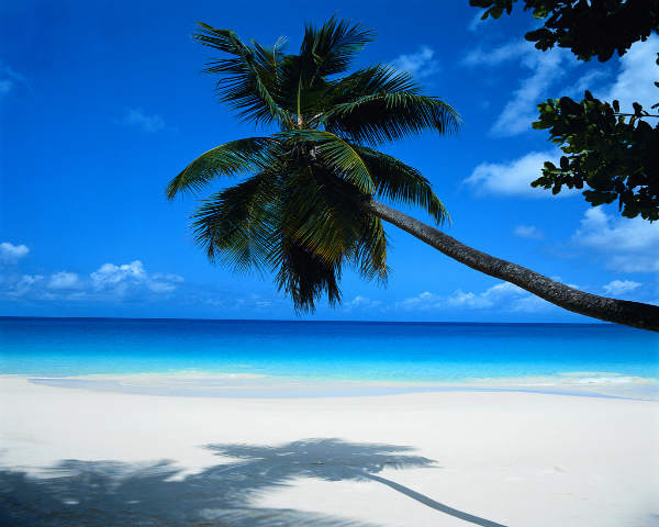 5 Things to Look for in a Winter Beach Getaway