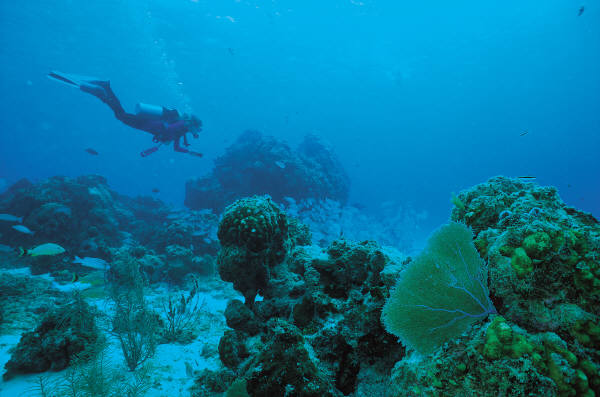Top 10 countries for a scuba-diving holiday