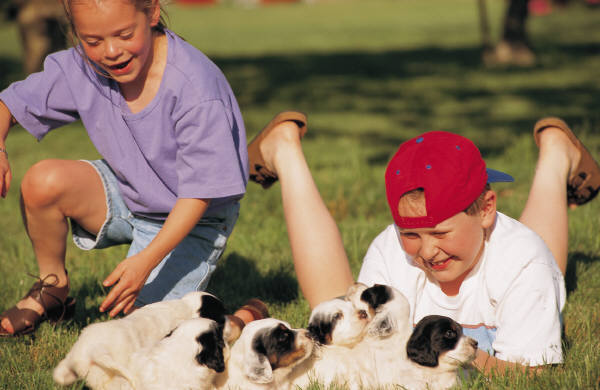 Is It a Good Idea to Give Pets as Gifts