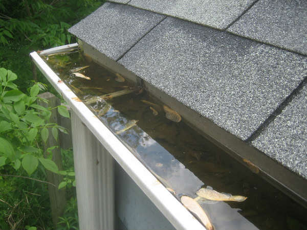 Gutter Maintenance Tips