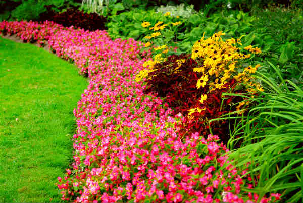 10 Ways To Make Landscaping Your Yard Easier
