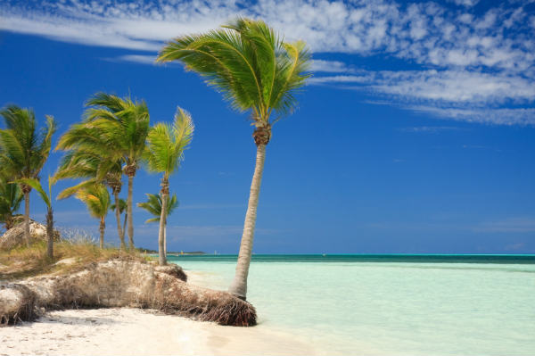 Relax and unwind in the Caribbean