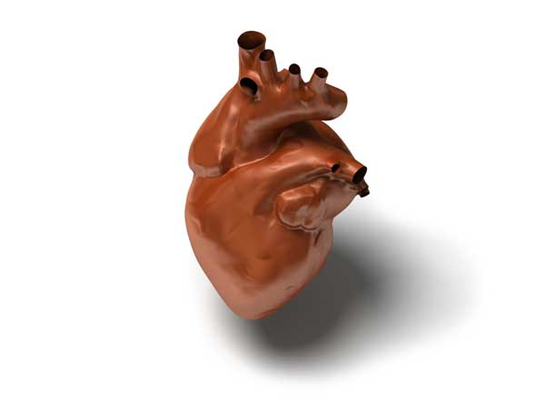 New Developments in Organ Donation and Transplant