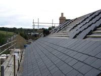 Your Roof’s Leaking: What’s Next?