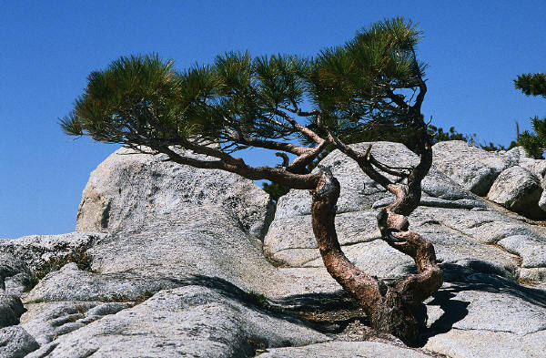 The Advantages of Granite