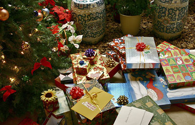 Tips to Prevent Holiday Theft