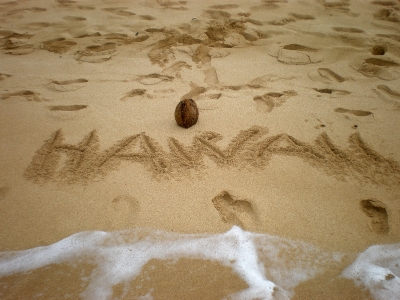 Extreme Adventures in Hawaii
