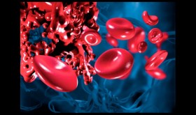 What You Should Know About Blood Thinners