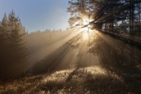 Benefits of Breathing in Fresh Air