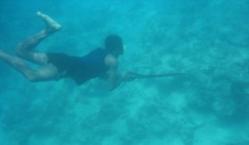 Spearfishing: A Popular Recreational Activity