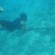 Spearfishing: A Popular Recreational Activity