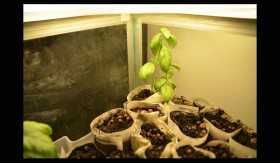 3 Unique Farming Methods Using Shipping Containers