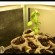 3 Unique Farming Methods Using Shipping Containers